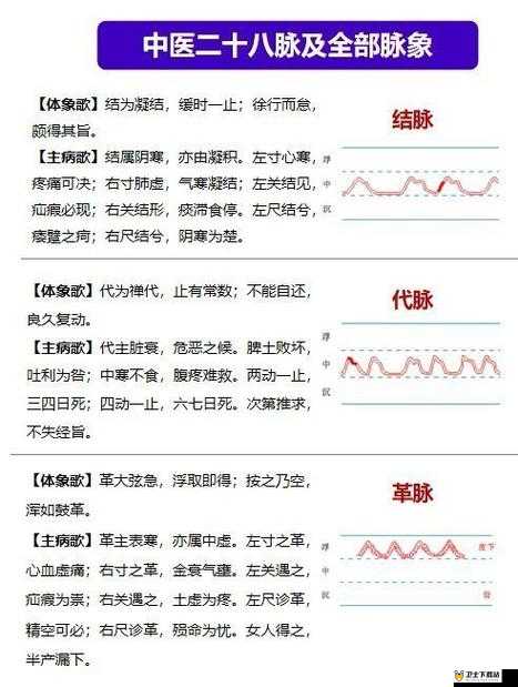 人在仙途，全面深度解析经脉系统的运作机制与修炼要点